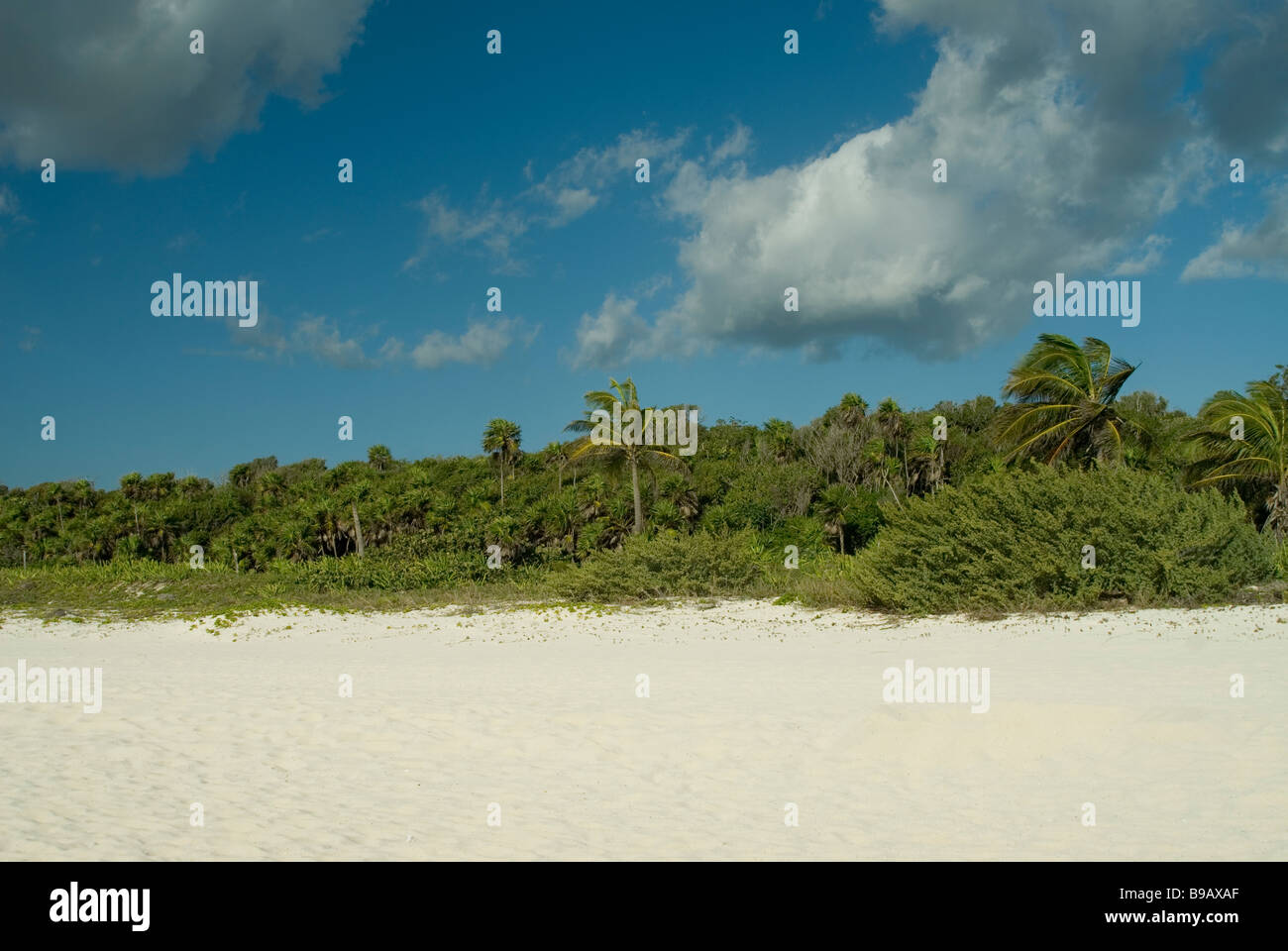 Plage de Playacar, Playa del Carmen, péninsule du Yucatan, Mexique Banque D'Images