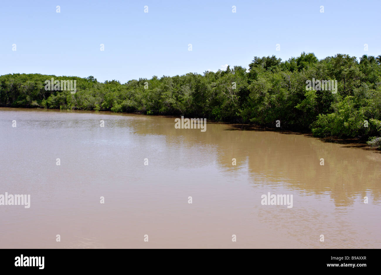 Rivière paysage par Bahia Canavieiras Brésil Amérique du Sud Banque D'Images