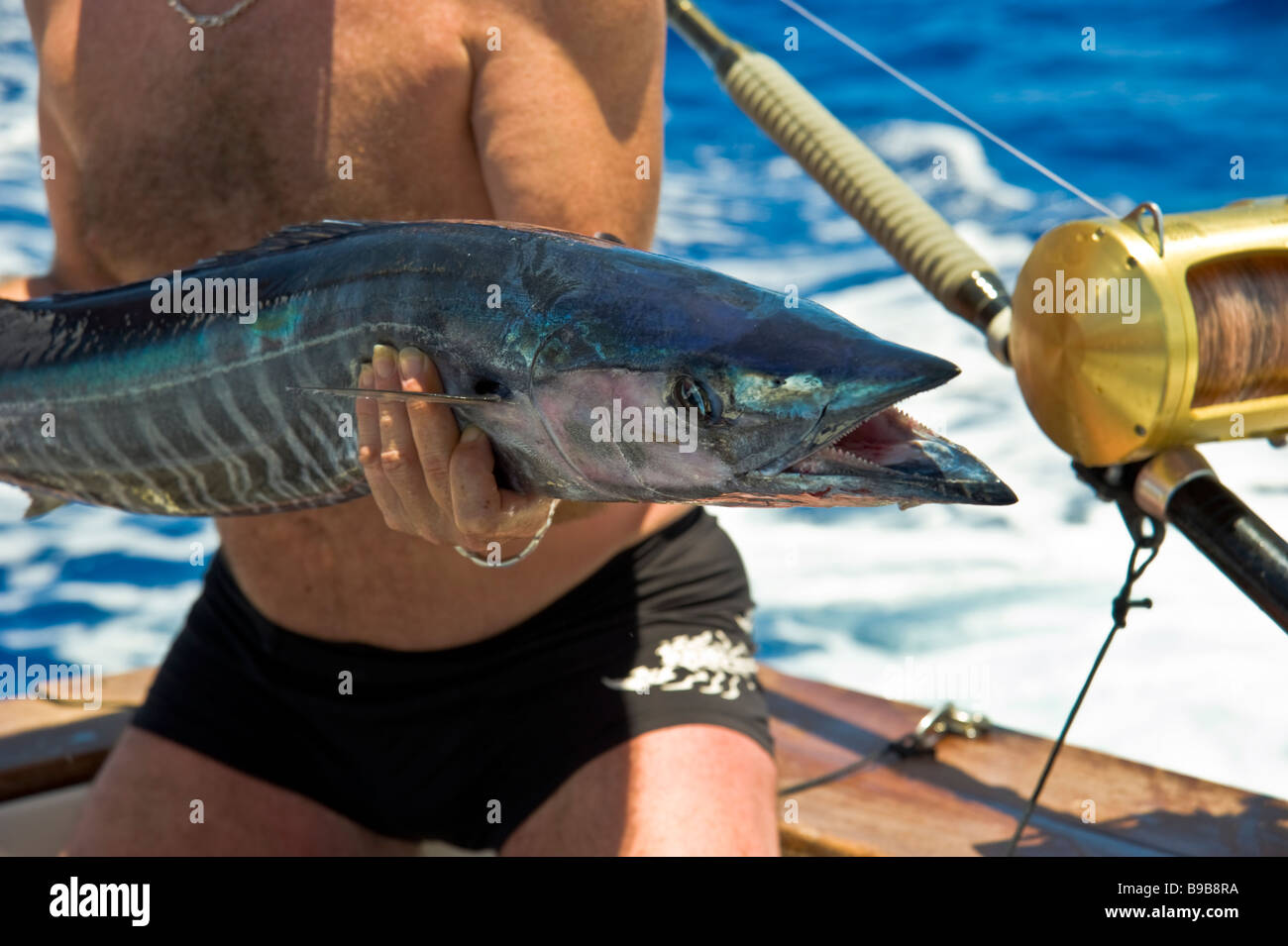 Pêche au gros, fishernan montre wahoo attraper Saint Gilles La Réunion France | Hochseeangeln, Wahoo Fang, La Réunion, Frankreich Banque D'Images