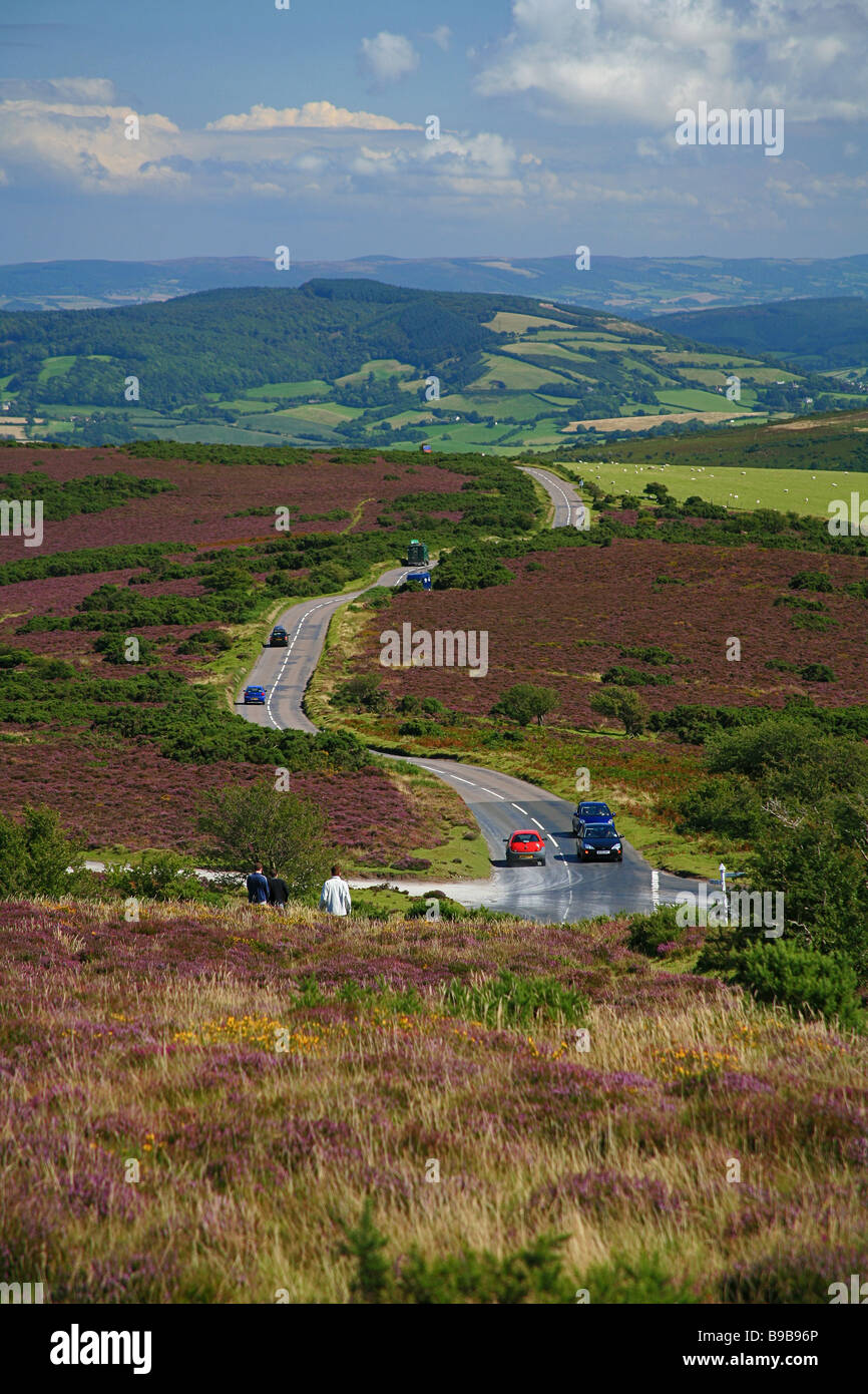 À la A39 le long de la route vers le haut de la célèbre colline Porlock sur Exmoor, Somerset, England, UK Banque D'Images