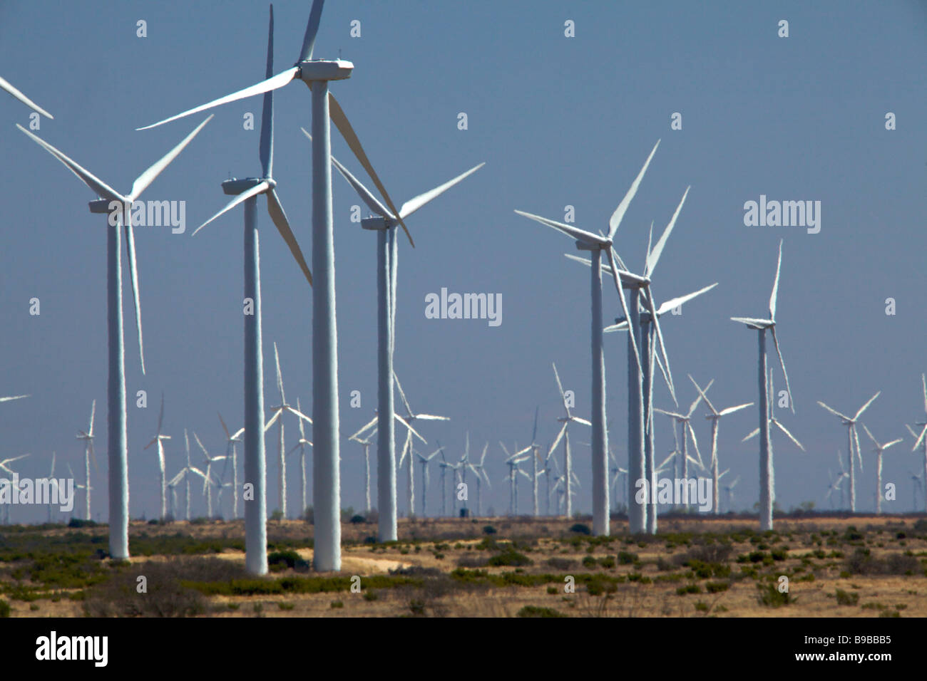 Éoliennes produisant de l'électricité à Horse Hollow Wind Farm Nolan Texas le plus grand projet d'énergie éolienne Banque D'Images