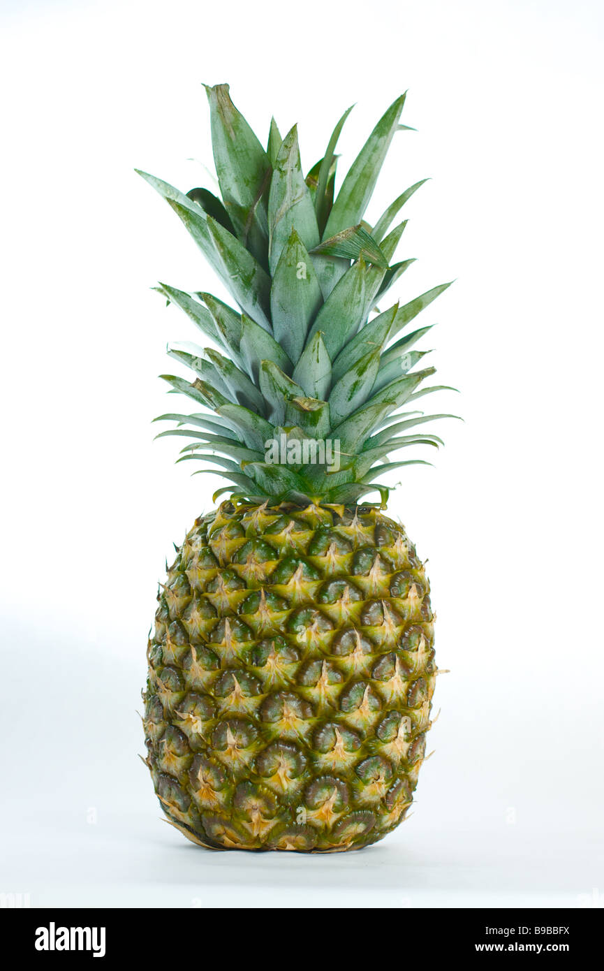 Un ananas frais sain isolé sur fond blanc lumineux Banque D'Images