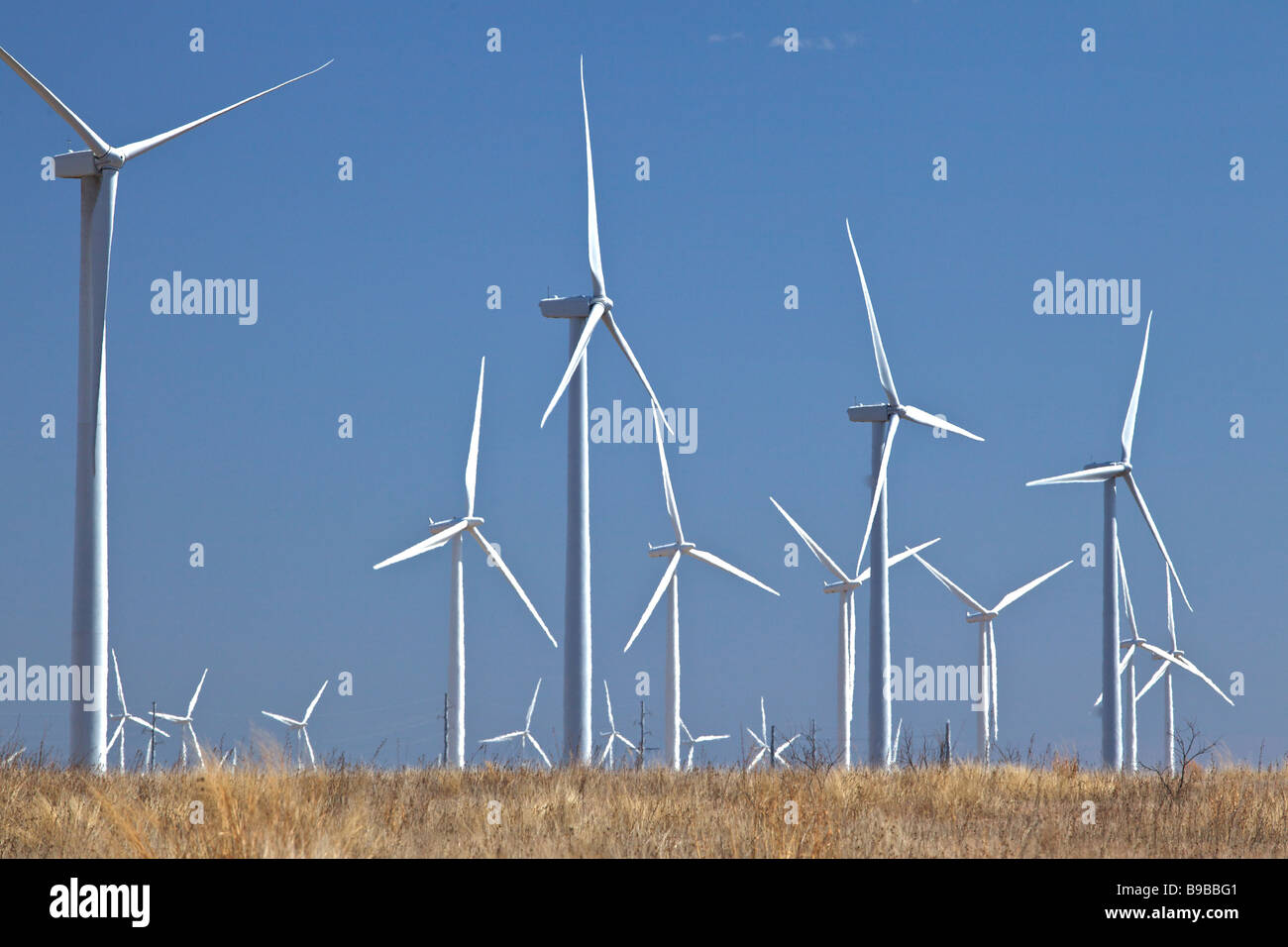Éoliennes produisant de l'électricité à Horse Hollow Wind Farm Nolan County Texas le plus grand Banque D'Images