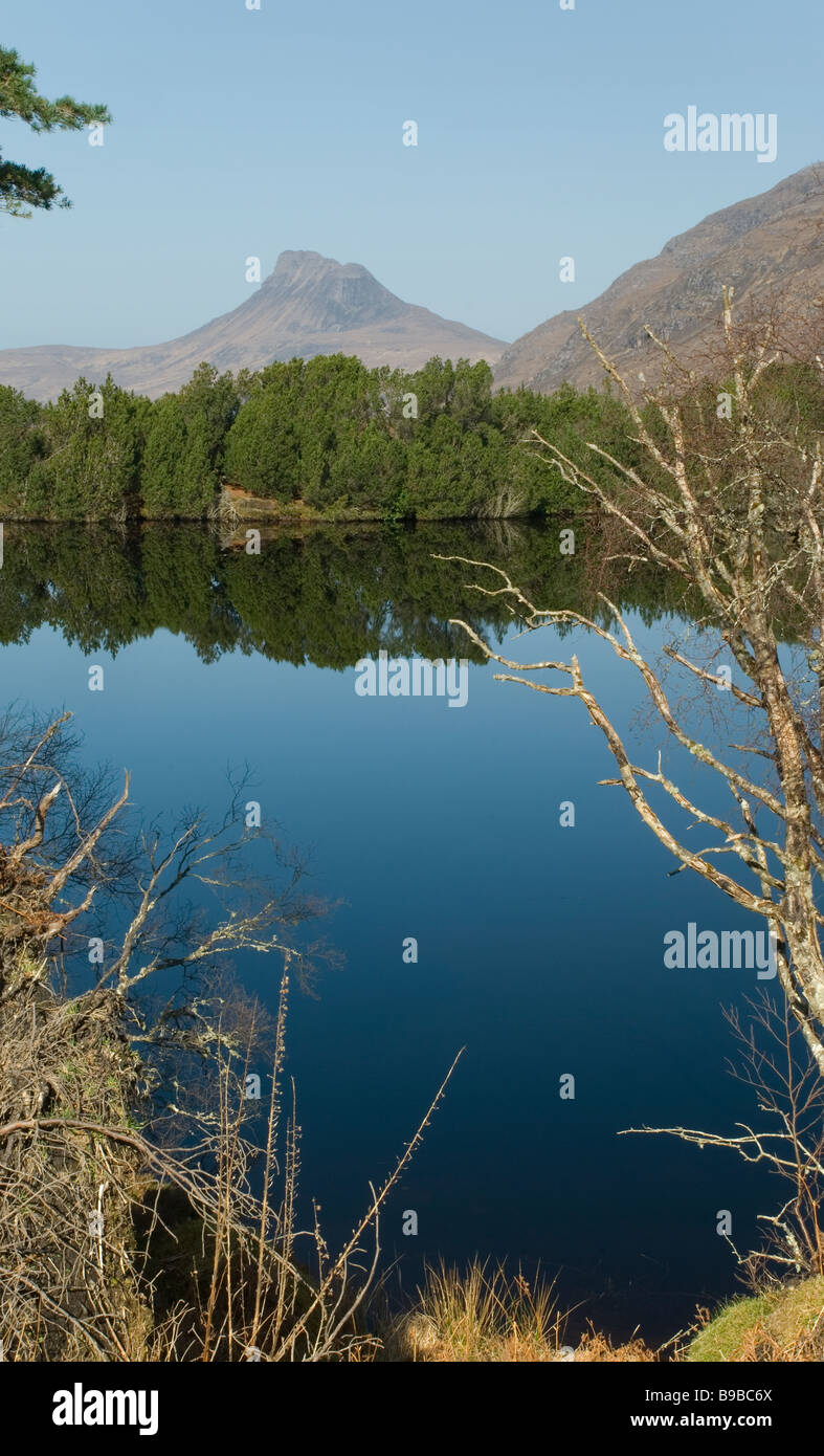 STAC Pollaidh, Wester Ross, Écosse, Royaume-Uni Banque D'Images