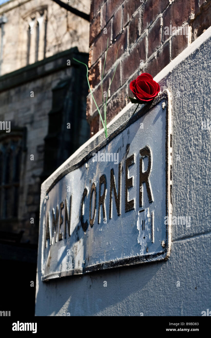 Une rose rouge sur un panneau indicateur de la route dans la lumière du soleil Banque D'Images