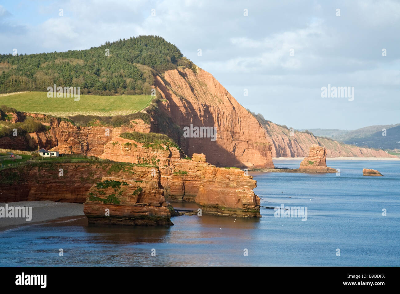 Ladram Bay près de Budleigh Salterton partie de côte jurassique Ouest Pays Angleterre Devon UK Royaume-Uni GB Grande Bretagne Banque D'Images