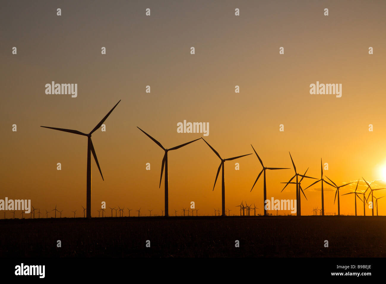Éoliennes produisant de l'électricité à Horse Hollow Wind Farm Nolan Texas au coucher du soleil. Banque D'Images