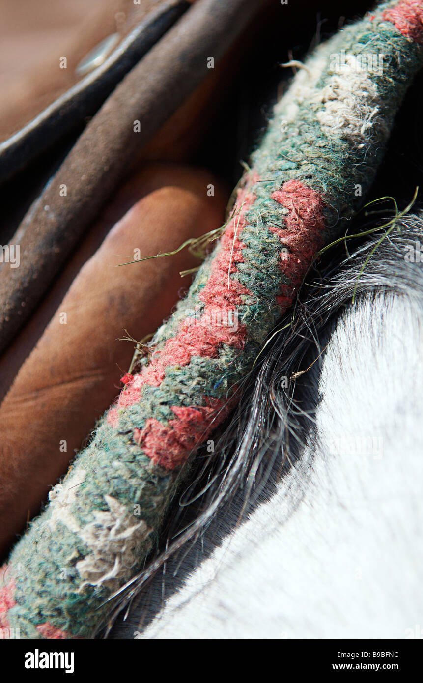 Libre d'une selle de cheval chabraque et avant un match de polo Banque D'Images