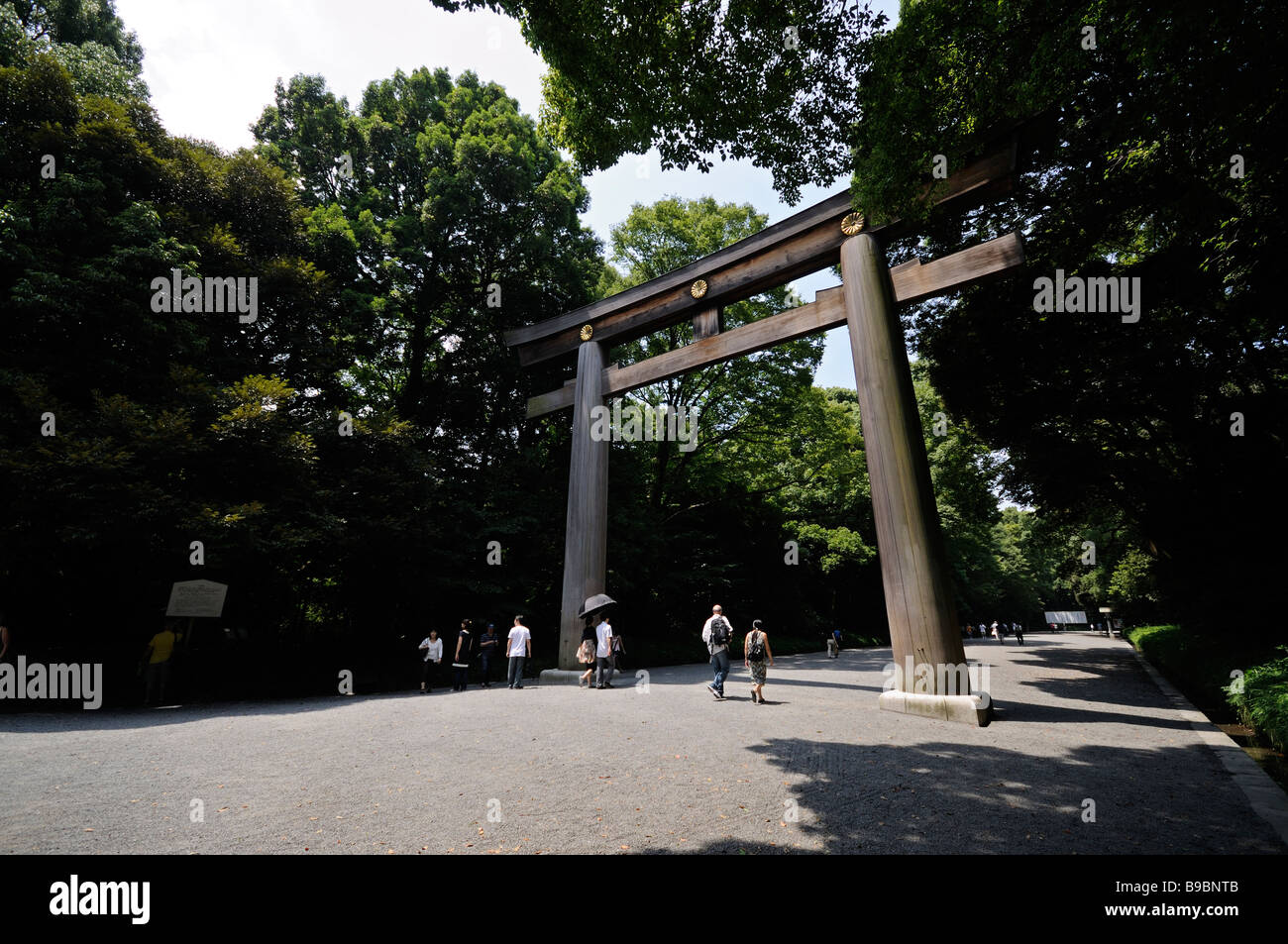 Torii menant au sanctuaire Meiji complexe. Parc Yoyogi. Shibuya. Tokyo. Le Japon Banque D'Images