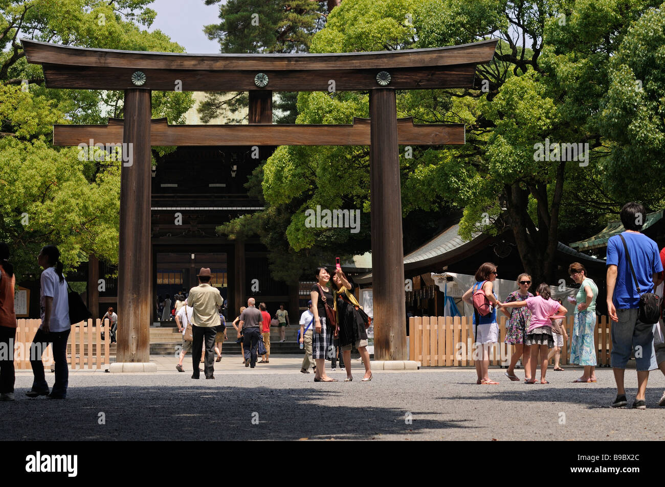 Torii à l'entrée du Sanctuaire Meiji complexe. Parc Yoyogi. Shibuya. Tokyo. Le Japon. Banque D'Images