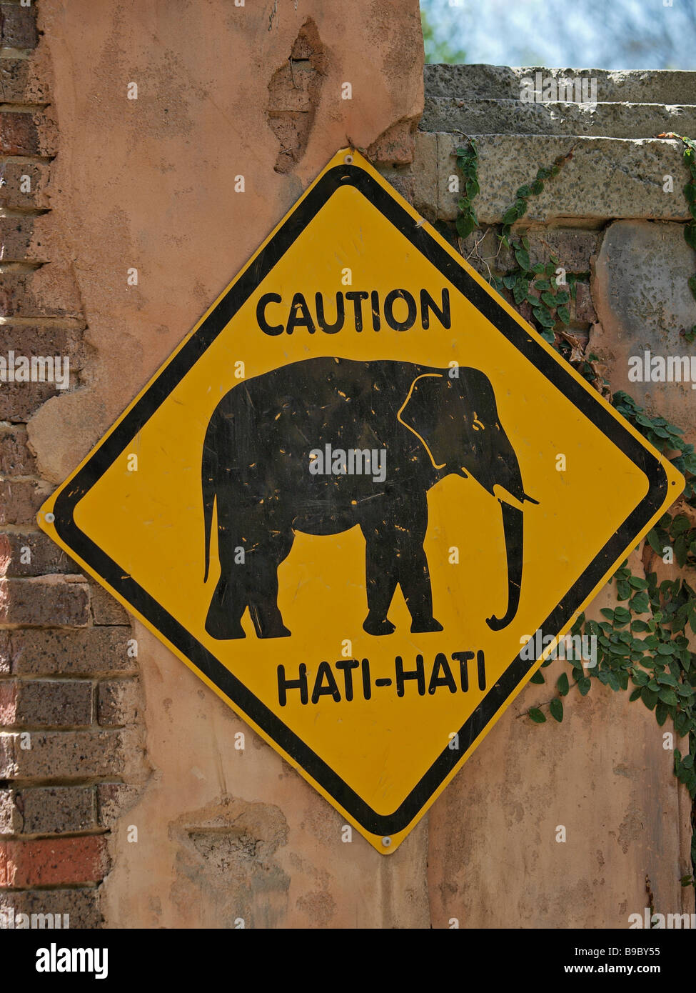 Attention au signe de l'éléphant du zoo de Melbourne Australie victoria Banque D'Images