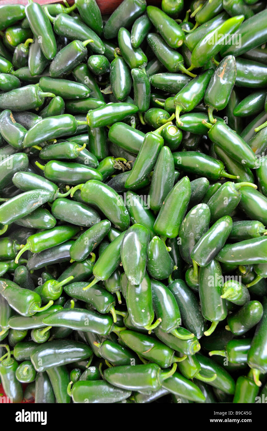 Hot green chili peppers produire l'affichage à l'agriculteur le marché aux puces de Floride Banque D'Images