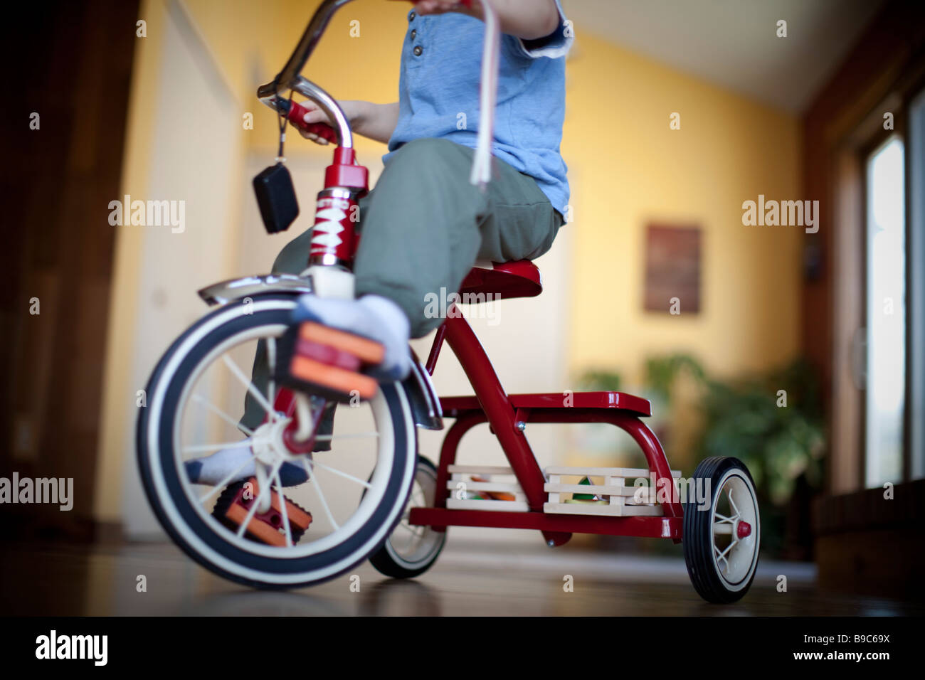 Tout-petit cheval un tricycle autour de la maison Banque D'Images