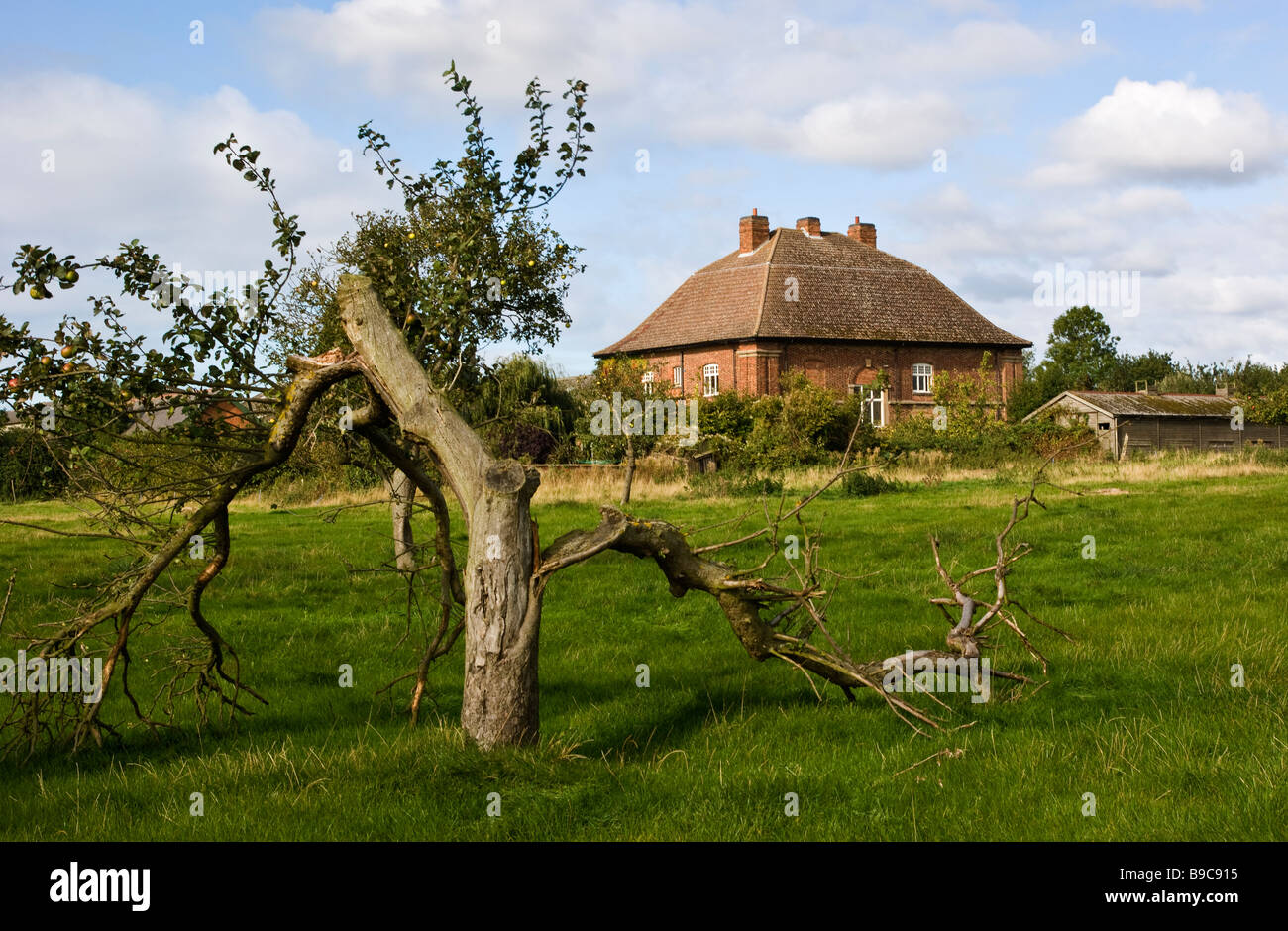 Highfields Farm House, Costock, Nottinghamshire, photographié à partir de son verger. Banque D'Images