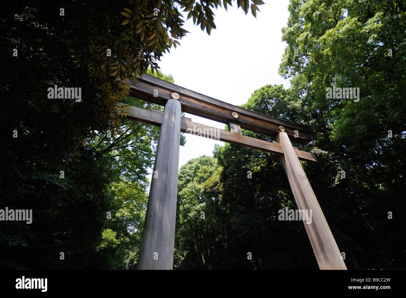 Torii menant au sanctuaire Meiji complexe. Parc Yoyogi. Shibuya. Tokyo. Le Japon Banque D'Images