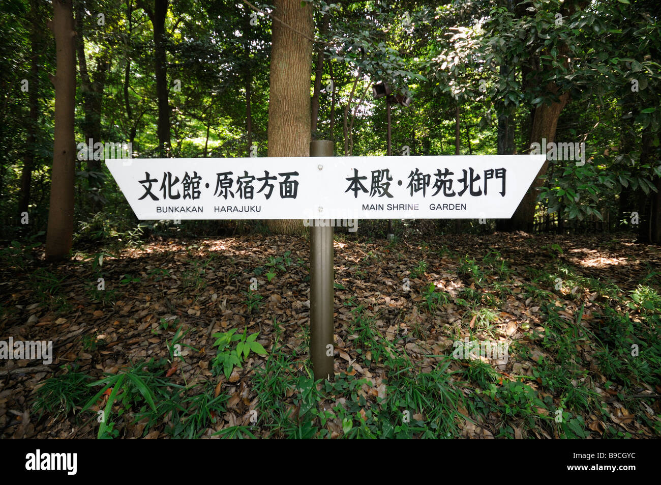 Direction de sanctuaire Shinto Meiji Jingu. Parc Yoyogi. Shibuya. Tokyo. Le Japon. Banque D'Images