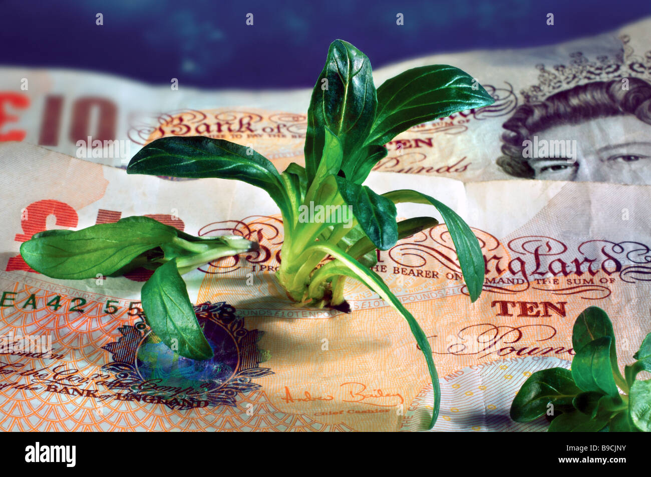 Les pousses vertes de la croissance économique de l'économie britannique de récupération Banque D'Images