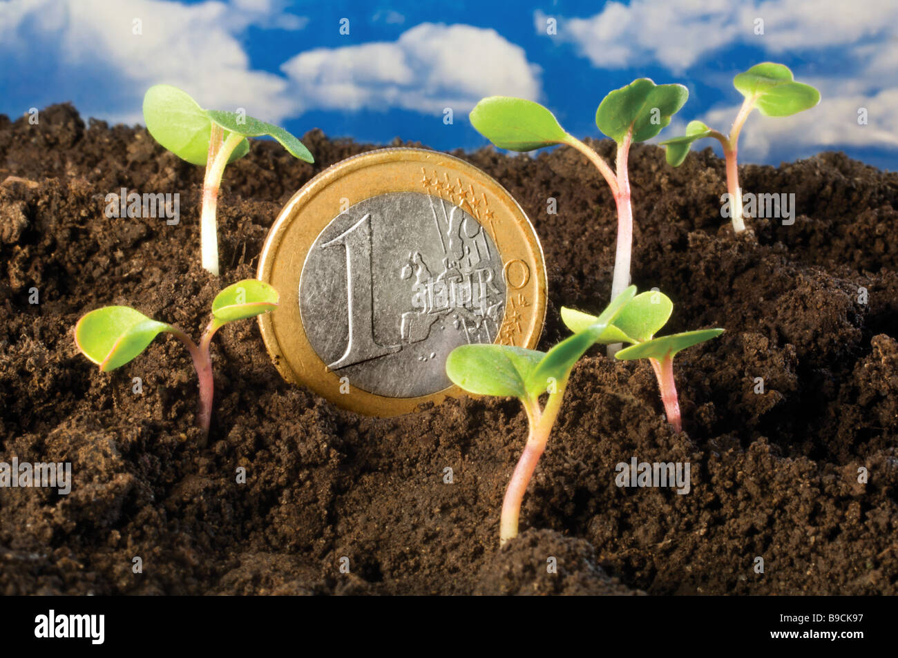 Les pousses vertes de l'UE l'économie de récupération de l'Euro La croissance économique Banque D'Images