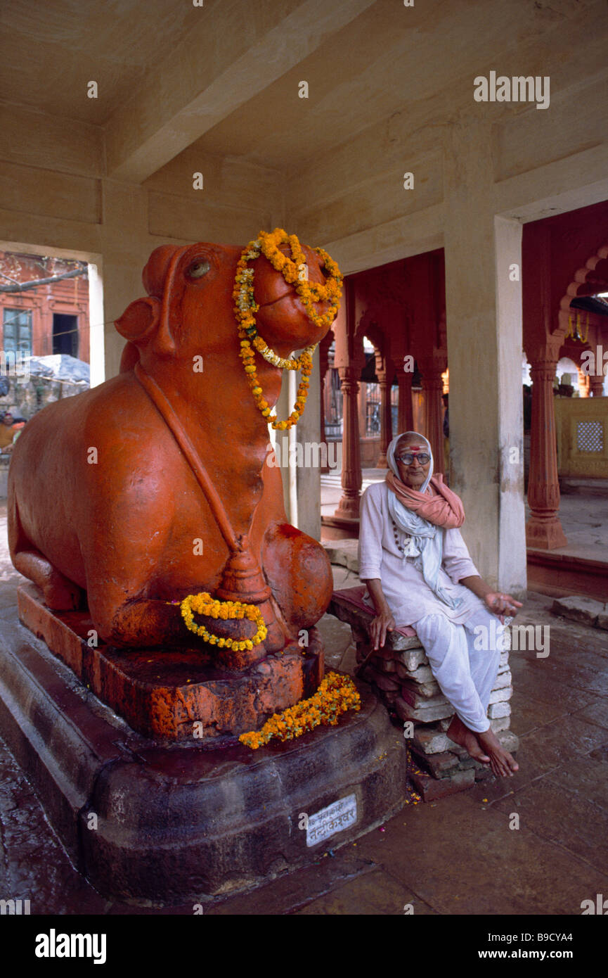 Varanasi Inde Nandi Le Steed de Seigneur Shiva et guirlandes Banque D'Images