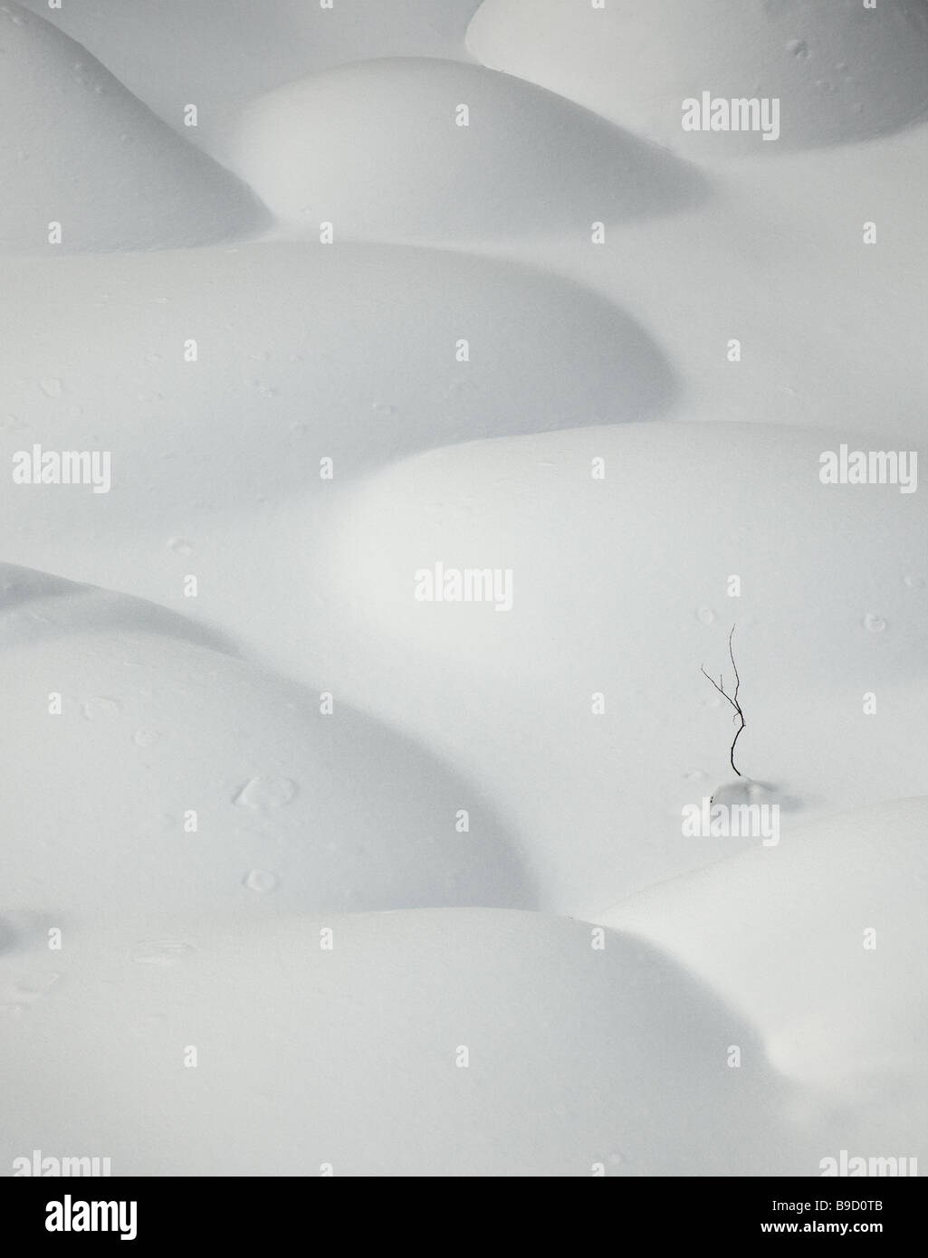 Paysage d'hiver Belokurikha resort marth 2009 Banque D'Images