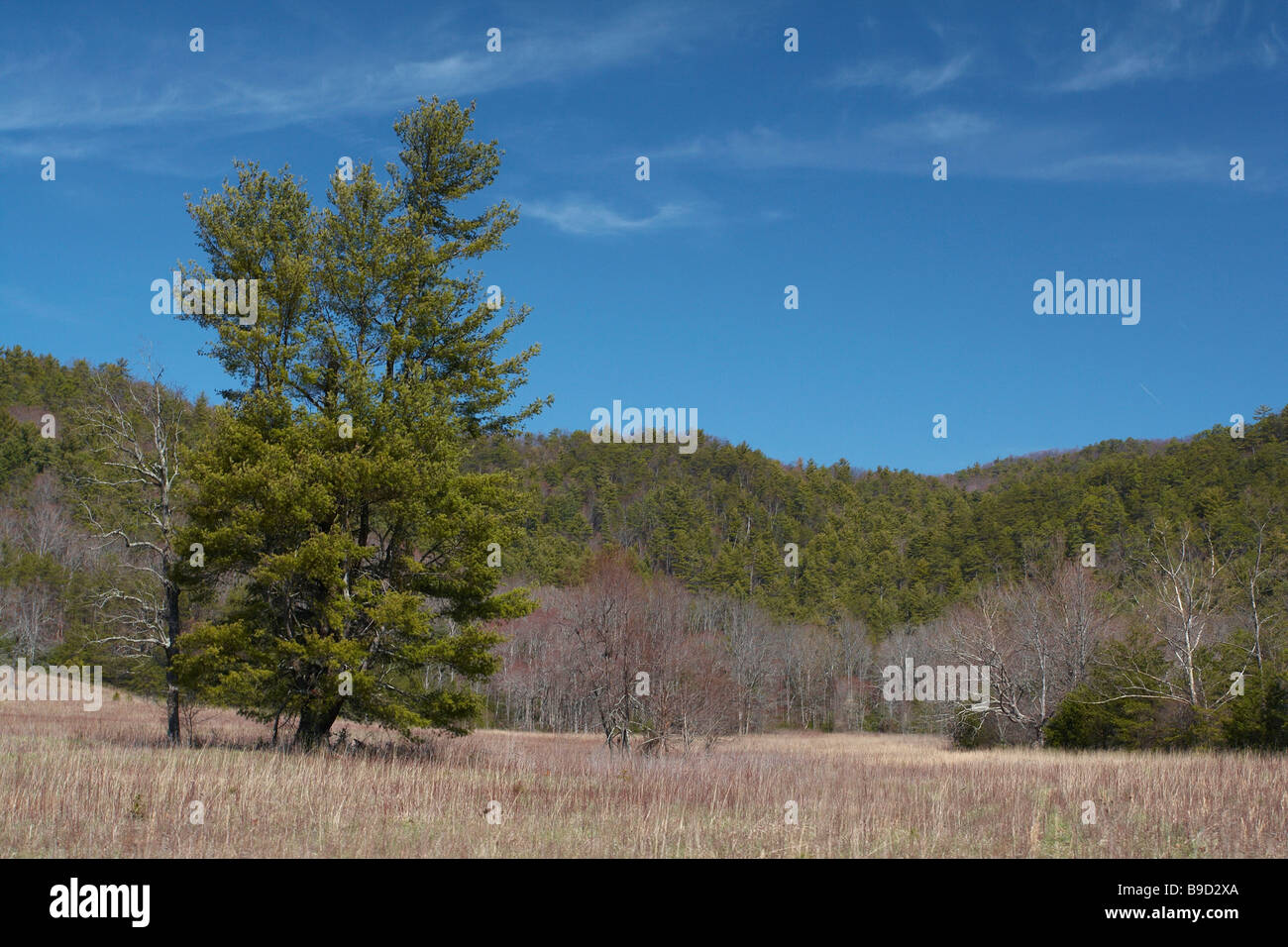 La Cades Cove Tennessee Smoky Mountains Banque D'Images