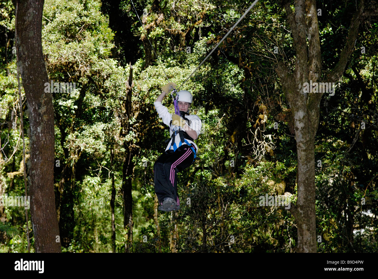 Ride tyrolienne dans rainforest, Costa Rica Banque D'Images