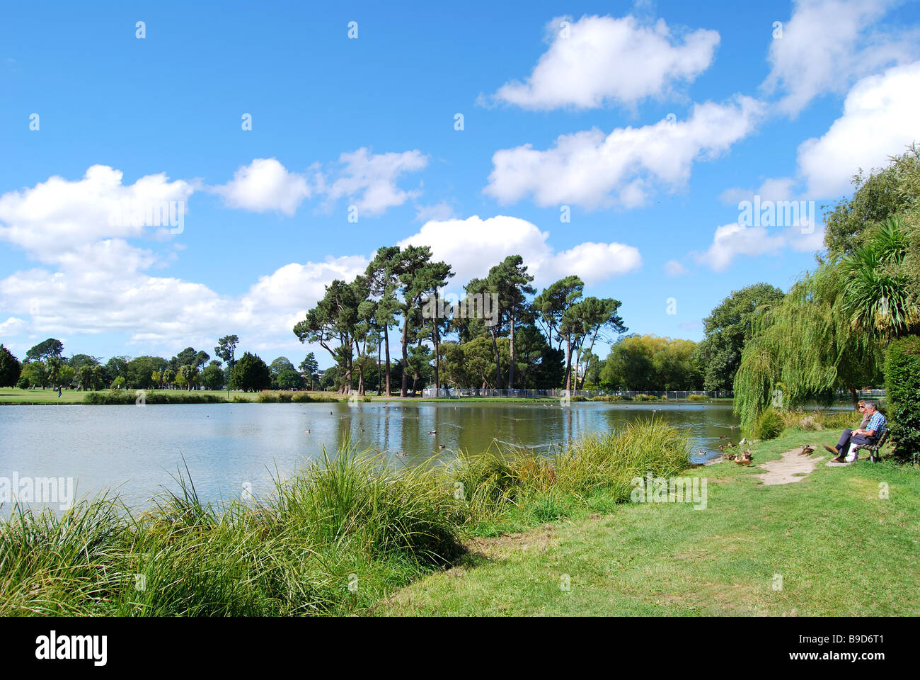 Le Lac Victoria, Hagley Park, Christchurch, Canterbury, île du Sud, Nouvelle-Zélande Banque D'Images