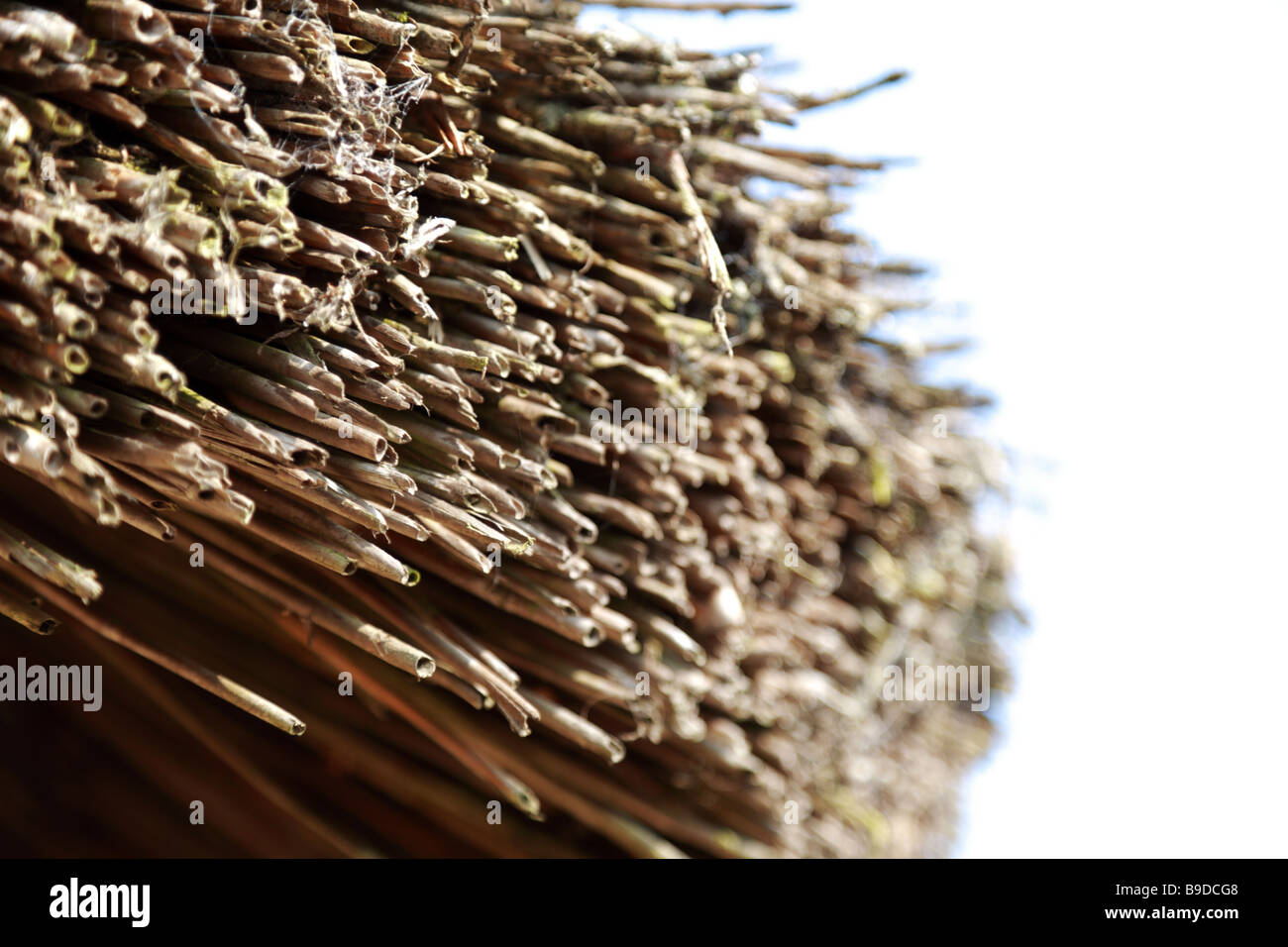 Close up du bord d'un toit de chaume, montrant la paille et reed construction Banque D'Images