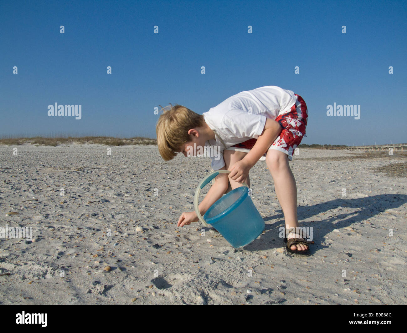 Boy on beach avec la collecte de coquillages tronçonne Banque D'Images