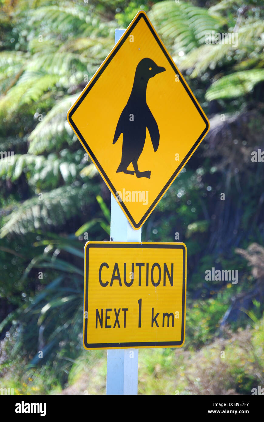 Penguin road sign, Paparoa National Park, West Coast, South Island, New Zealand Banque D'Images