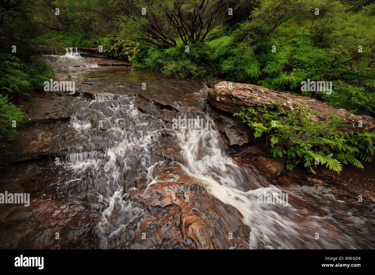 En cascade de l'eau sur des pierres dans un ruisseau de montagne Banque D'Images