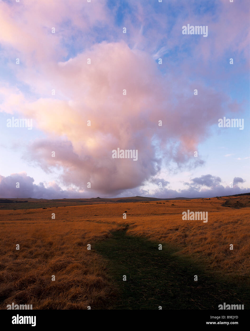Paysage nocturne sur la lande dans le parc national de Dartmoor près de Two Bridges, Devon, Angleterre. Banque D'Images