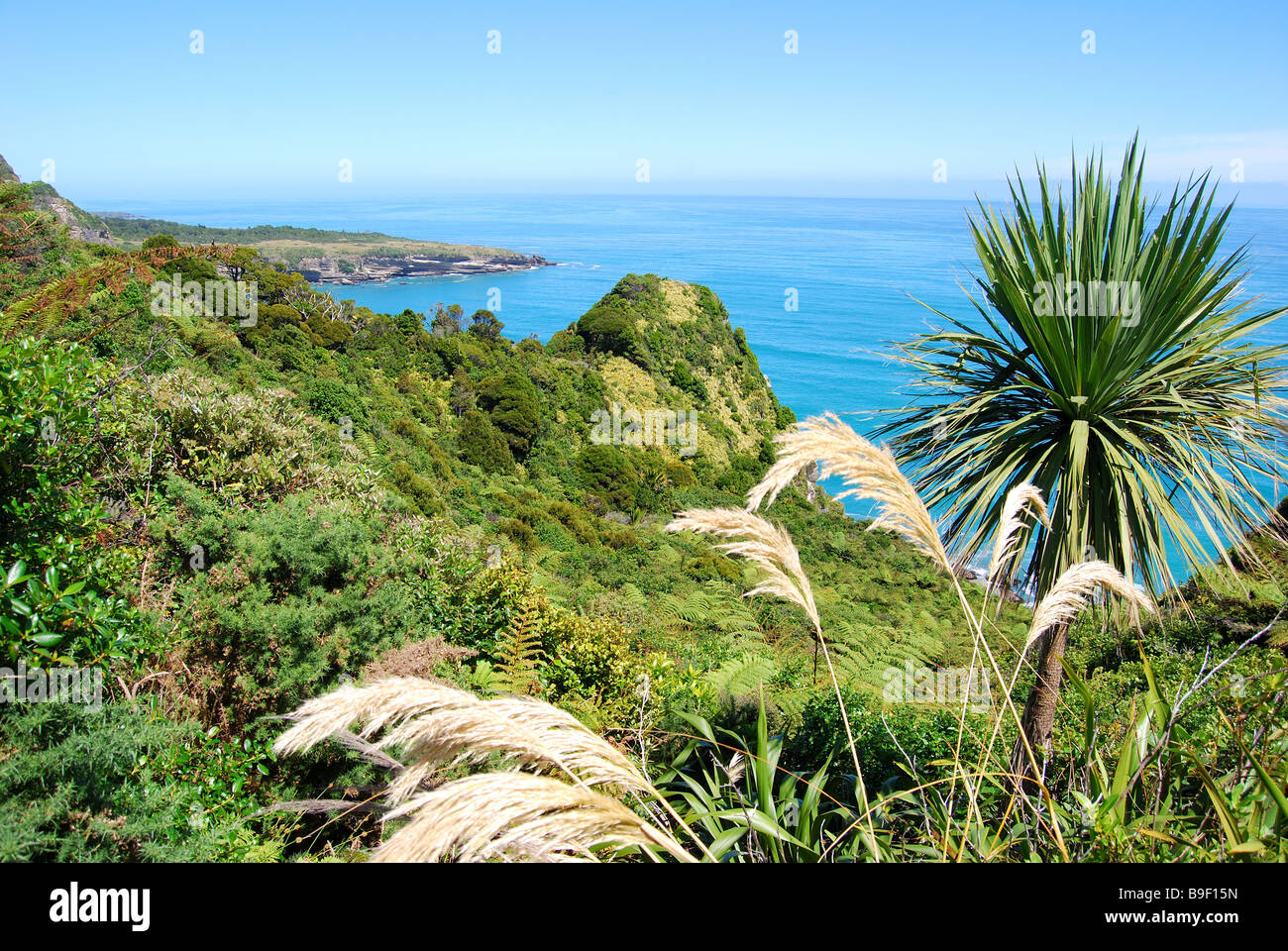 Vue côtière, Paparoa National Park, West Coast, South Island, New Zealand Banque D'Images