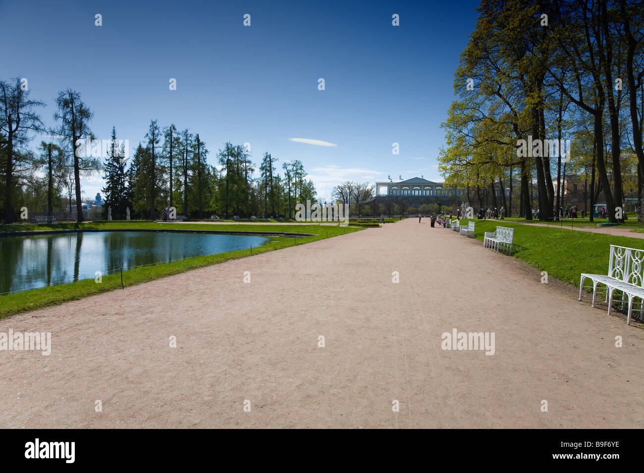 La ruelle autour d'étang dans le parc d'été Banque D'Images