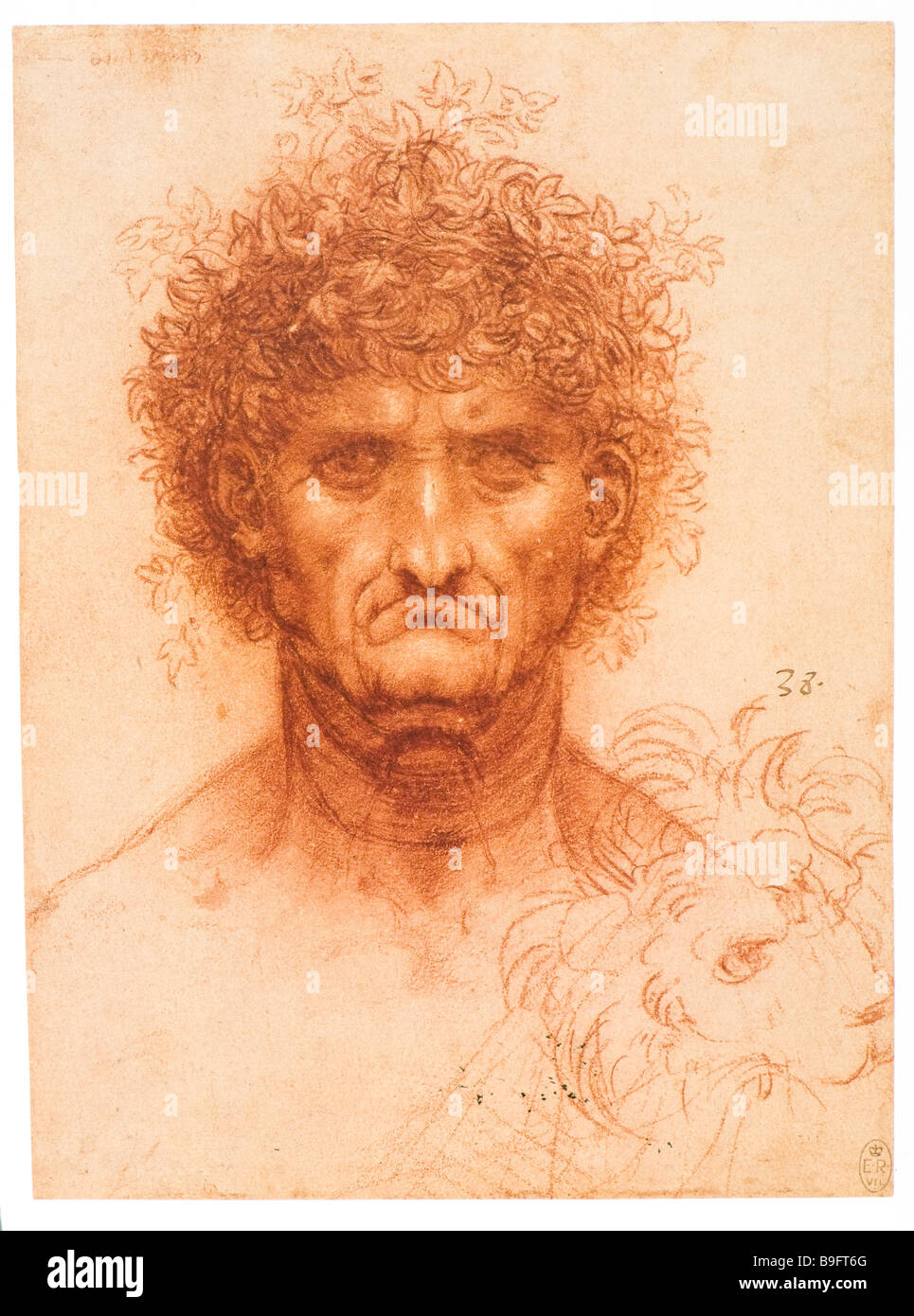 Tête de caractère d'un homme plus âgé et un dessin d'une tête de lion par Leonardo da Vinci 1505-1510 craie rouge Banque D'Images