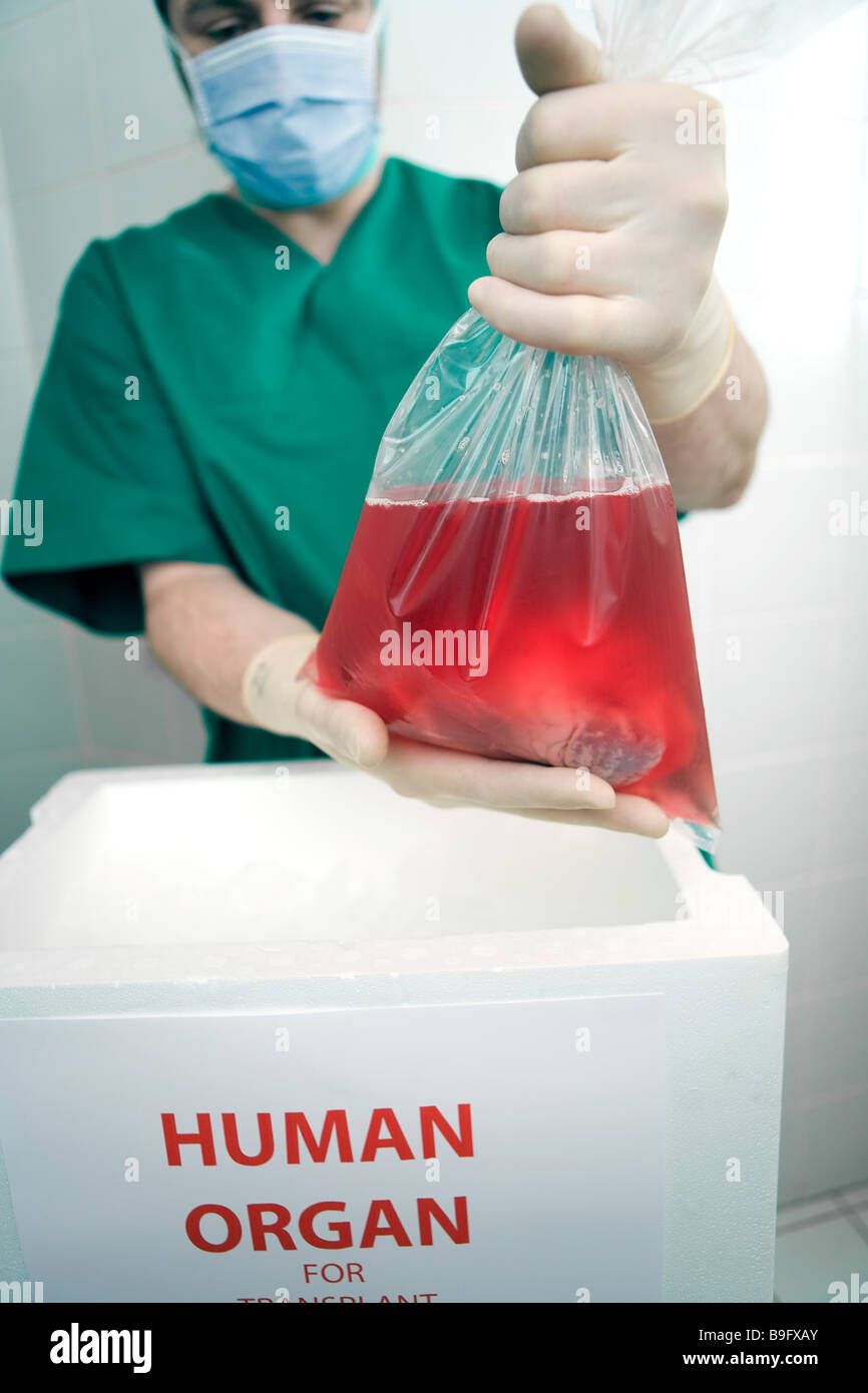 Tenir les récipients d'une transplantation d'organe humain médecin Médecin occupation sanglante des sacs poubelles fort chirurgie chirurgien détail Banque D'Images