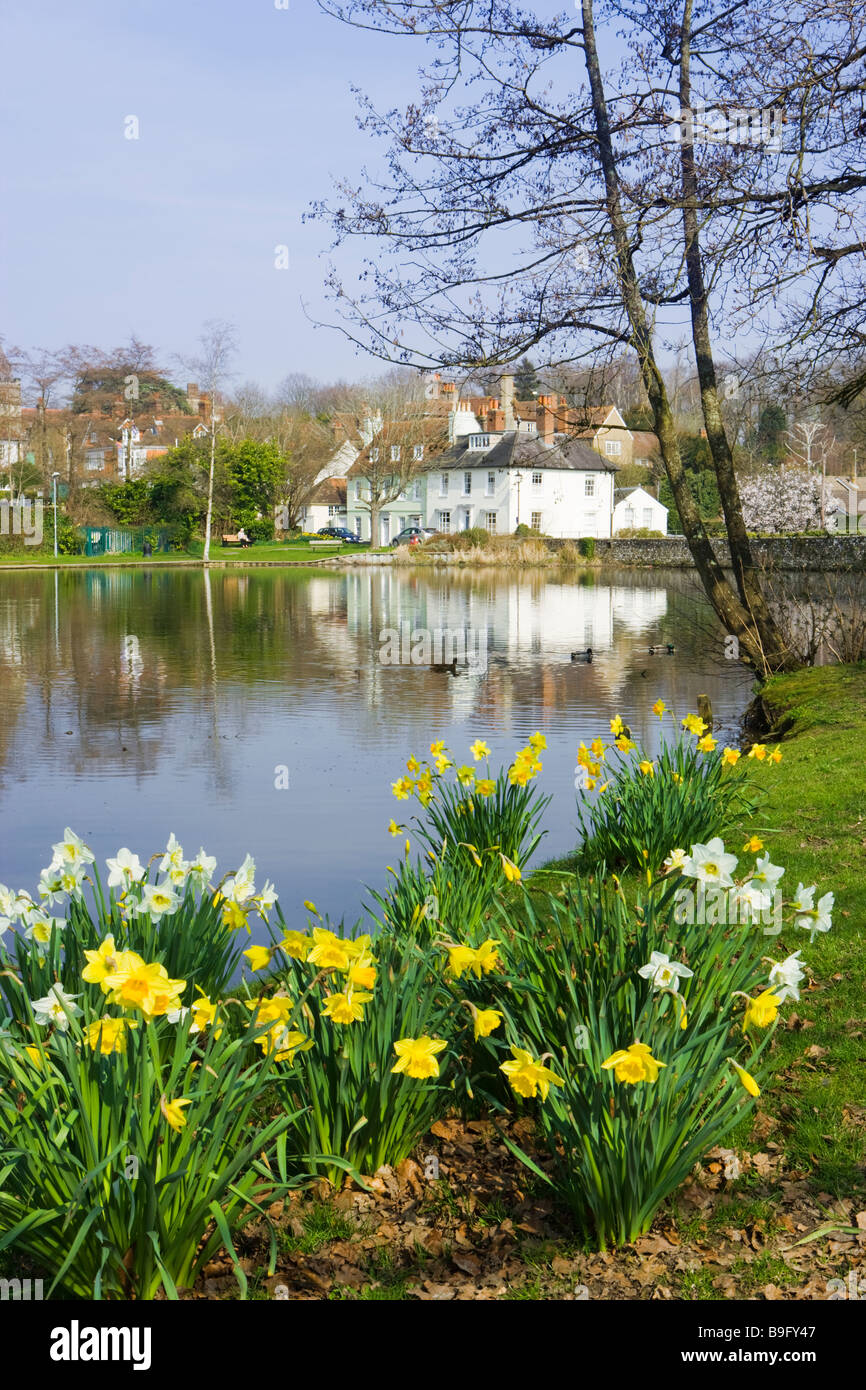 Midhurst, West Sussex, UK Banque D'Images