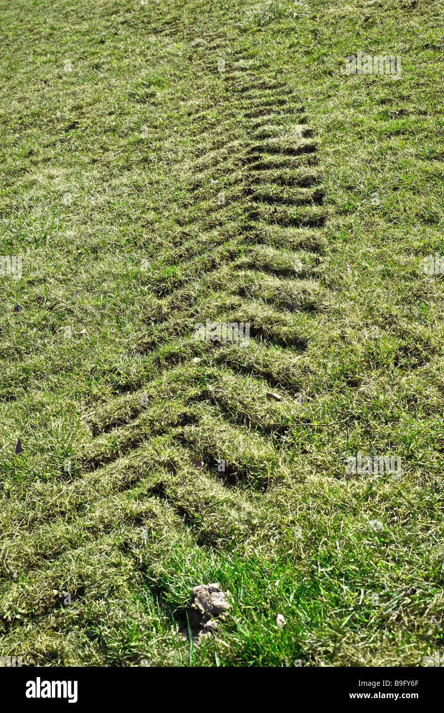 La Roue Du Tracteur Pour Imprimer Sur L Herbe Photo Stock Alamy