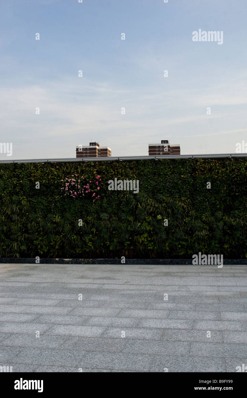 Le centre commercial de Westfield, Shepherds Bush, Londres. Banque D'Images