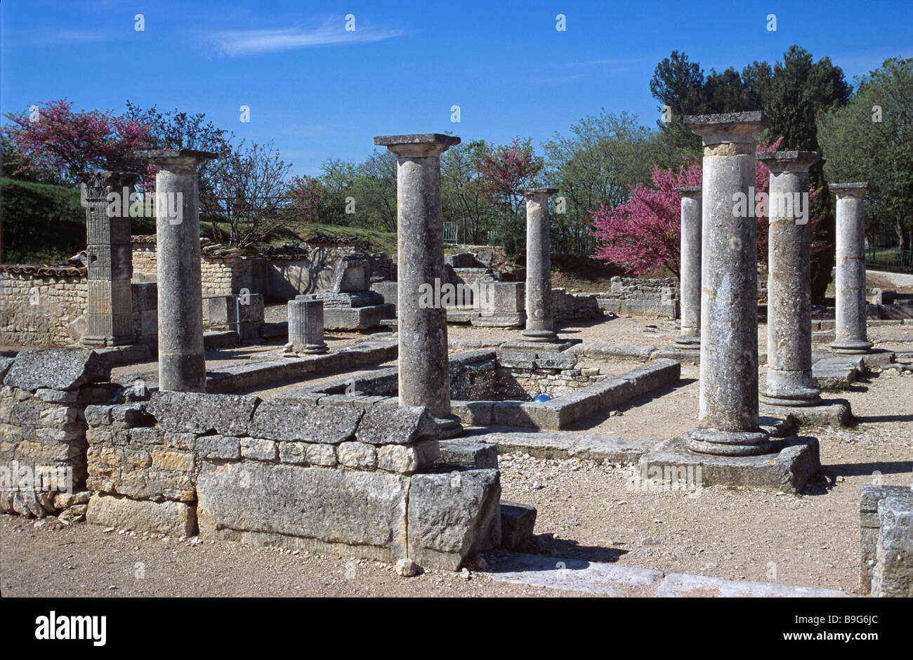 Villa gréco-romaine, la Villa antes et les colonnes, les ruines de Glanum, St Rémy-de-Provence, Provence, France Banque D'Images