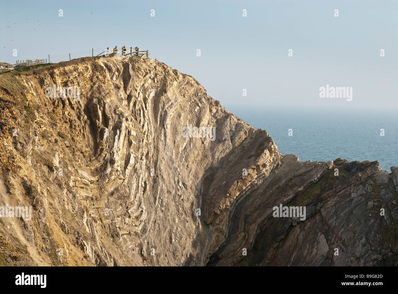 Le trou de l'escalier à l'anse de Lulworth partie de la côte jurassique. La caractéristique la plus remarquable du trou de l'escalier est vu dans l'est de la falaise. La coupe transversale à travers la déformation de Lulworth, où de petits plis dans les strates de Purbeck sont présents sur les pentes nord de la Monocline Purbeck. Banque D'Images