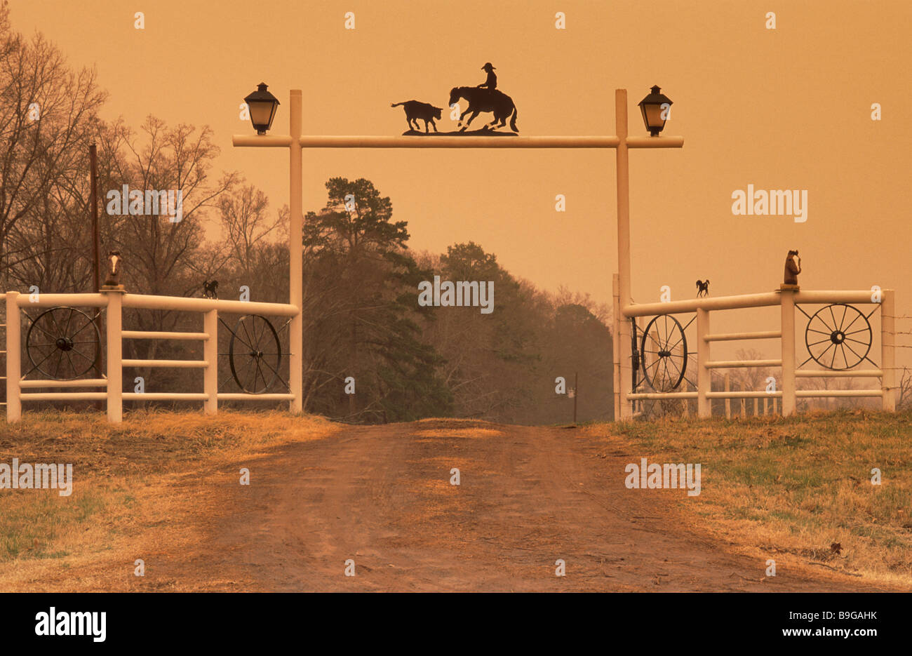 Ranch en fer forgé porte à l'autoroute près de 852 FM dans la région de Gilmer Upshur Comté Texas USA Banque D'Images