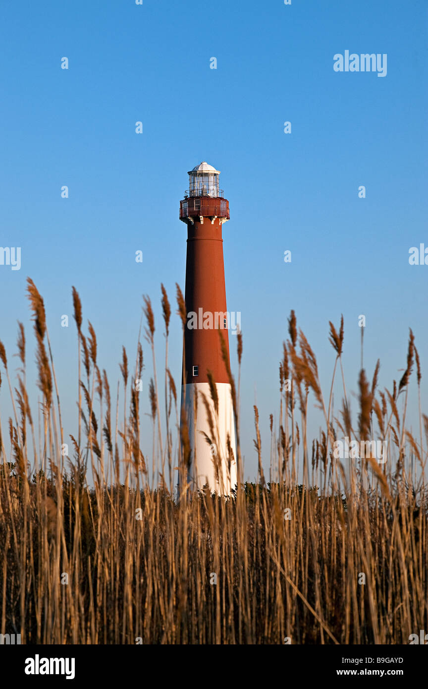 Barnegat Lighthouse Long Beach Island New Jersey USA Banque D'Images