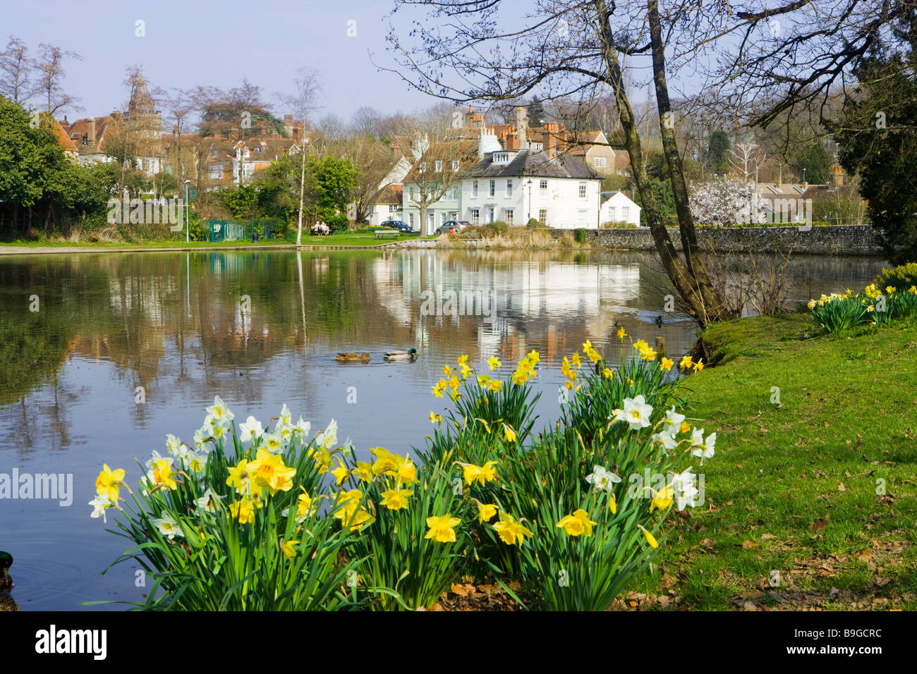 Midhurst, West Sussex, UK Banque D'Images