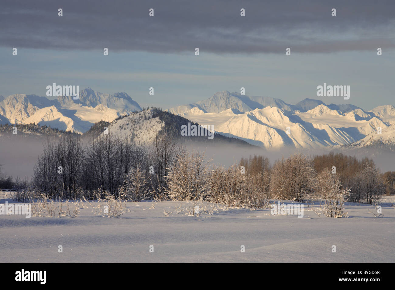 Canada Territoire du Yukon Alaska Montagnes Chilkat Valley matin d'hiver sur la côte-nord-américain de l'humeur des paysages de montagne Banque D'Images