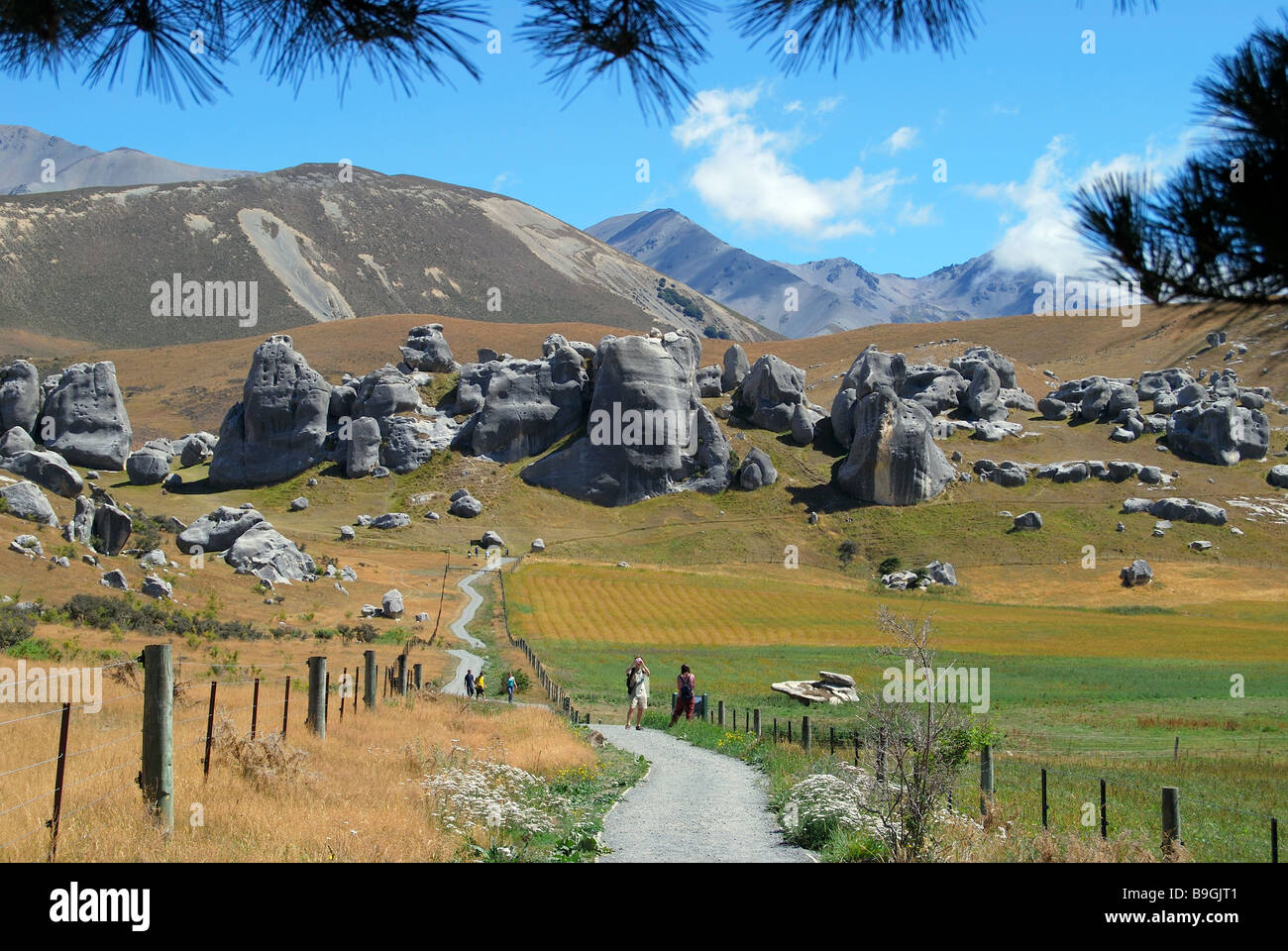 Les roches de Castle Hill, Castle Hill High Country, State Highway 73, région de Canterbury, île du Sud, Nouvelle-Zélande Banque D'Images