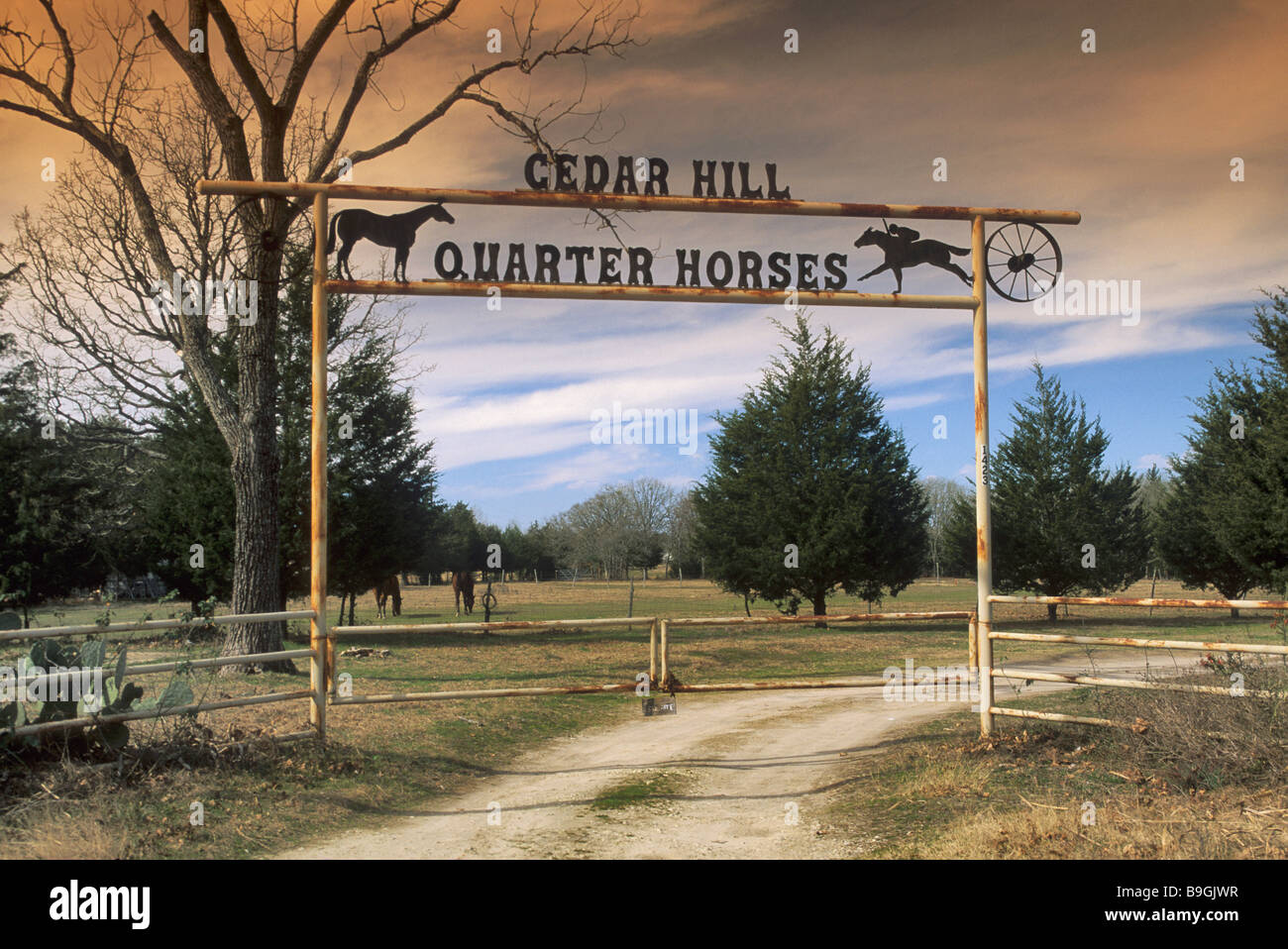 Ranch en fer forgé porte à TX 75 l'autoroute près de Madisonville de Madison County Texas USA Banque D'Images