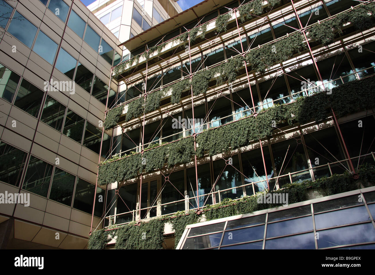 Plantes bureaux vert fenêtre moderne architecture Banque D'Images