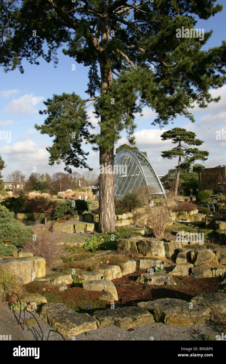 La nouvelle maison Alpine et Alpine Rock Garden, Royal Botanical Gardens, Kew, Londres Banque D'Images