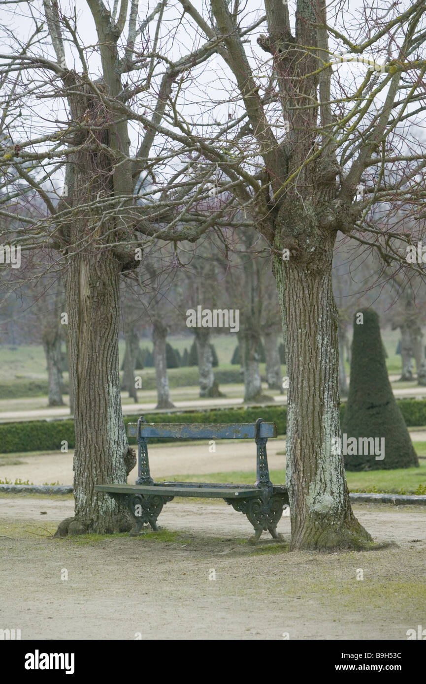 France département Seine-et-Marne château de Fontainebleau-parc arbres park-bank ancien winter park park sterns à feuilles Banque D'Images